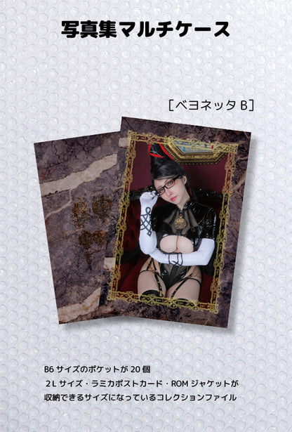 【在庫追加】コレクションファイル